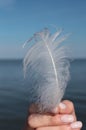 White feather blue sky Royalty Free Stock Photo