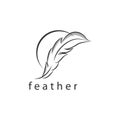 White feather. Logo. Isolated feather on white background