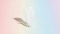 White Feather on Pastel Background, Softness, Lightness Royalty Free Stock Photo