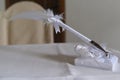 White feather pen at a wedding on a blurred background Royalty Free Stock Photo