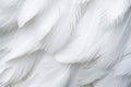 White feather pigeon pattern. Generate Ai