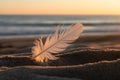 White feather rests on sandy beach at warm sunset Royalty Free Stock Photo