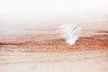 White feather on the sand on the beach Royalty Free Stock Photo