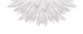 White feather semi circular fan Royalty Free Stock Photo