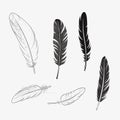 White Feather set vector flat minimalistic isolated illustration Royalty Free Stock Photo