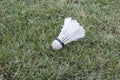 White Feather Shuttlecock is used for playing badminton. Royalty Free Stock Photo