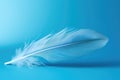 White feather softness abstract plumage light blue pattern background bird soft fluffy