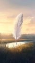 White feather is standing in a field next to a river Royalty Free Stock Photo