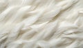 White feather texture background detailed digital art of exquisitely patterned large bird feathers