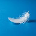 White feather on a vibrant blue background. The feather is delicate, featuring a soft, Royalty Free Stock Photo
