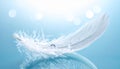 White Feather with Water Droplets and Soft Bokeh Lights Reflected on a Blue Surface image Royalty Free Stock Photo