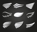 White feather wings vector set Royalty Free Stock Photo