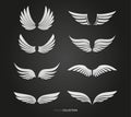 White feather wings vector set Royalty Free Stock Photo