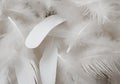 white feather wooly pattern texture Royalty Free Stock Photo