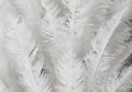 white feather wooly pattern texture Royalty Free Stock Photo