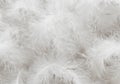 white feather wooly pattern texture Royalty Free Stock Photo