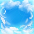 White Feathers On Blue Sky Royalty Free Stock Photo