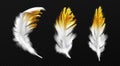 White feathers with gold glitter on edges, plumage Royalty Free Stock Photo