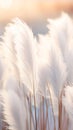 White Feathers Grass Design Milk Flowing Silk Sheets Luminist Im