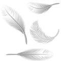 White Feathers Isolated