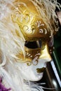 White feathers mask, Venice, Italy, Europe Royalty Free Stock Photo