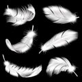 White feathers realistic set. Falling fluffy twirled bird plume in different angle, 3d flying angel or swan quill Royalty Free Stock Photo