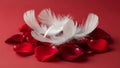 White feathers on red rose petals Royalty Free Stock Photo