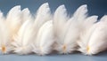 white feathers texture background detailed, artistic depiction of large bird feathers