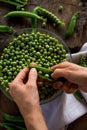 White female hands holding a handful green peas on a wooden table. Top view.
