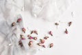 White feminine background with silk, white petals and dried rose
