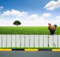 White fence Royalty Free Stock Photo