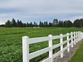 White fence on farm with green field and trees in distance. Royalty Free Stock Photo