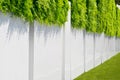 White fence with a green grass Royalty Free Stock Photo