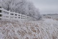 White fence next to ice covered trees and plants Royalty Free Stock Photo