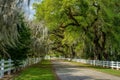 White fence road, spanish moss, spring, louisiana