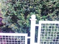 White Fence of a small garden Royalty Free Stock Photo