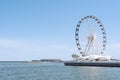 White Ferris wheel attraction on seacoast