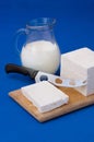 White feta cheese and milk Royalty Free Stock Photo