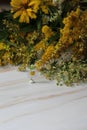 A white field flower, a yellow summer meadow flower, a field flower, in the background other plants from the bouquet Royalty Free Stock Photo