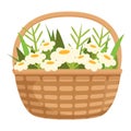 White field flowers icon cartoon vector. Bunch plants