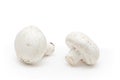 White field mushrooms Royalty Free Stock Photo