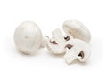 White field mushrooms Royalty Free Stock Photo