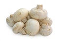 White field mushrooms Royalty Free Stock Photo