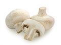 White field mushrooms Royalty Free Stock Photo