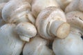 White field mushrooms champignon Royalty Free Stock Photo