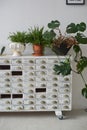 White filing Cabinet in the old style.With missing drawers . On top are pots of flowers. Retro. Royalty Free Stock Photo