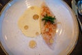 White fillet of most delicious fish John Dory, St Pierre or Peter\'s fish served with shell fish sauce in luxe restaurant in