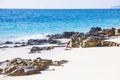 White fine sand coral beach