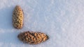 White fine snow background texture, pine cone on snow, winter background