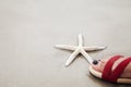 White finger starfish under a human foot over sand beach., Environmental protection concept. Royalty Free Stock Photo